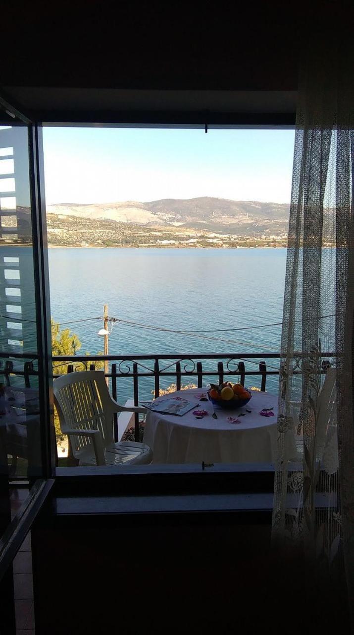 Apartments Vini Trogir Zewnętrze zdjęcie
